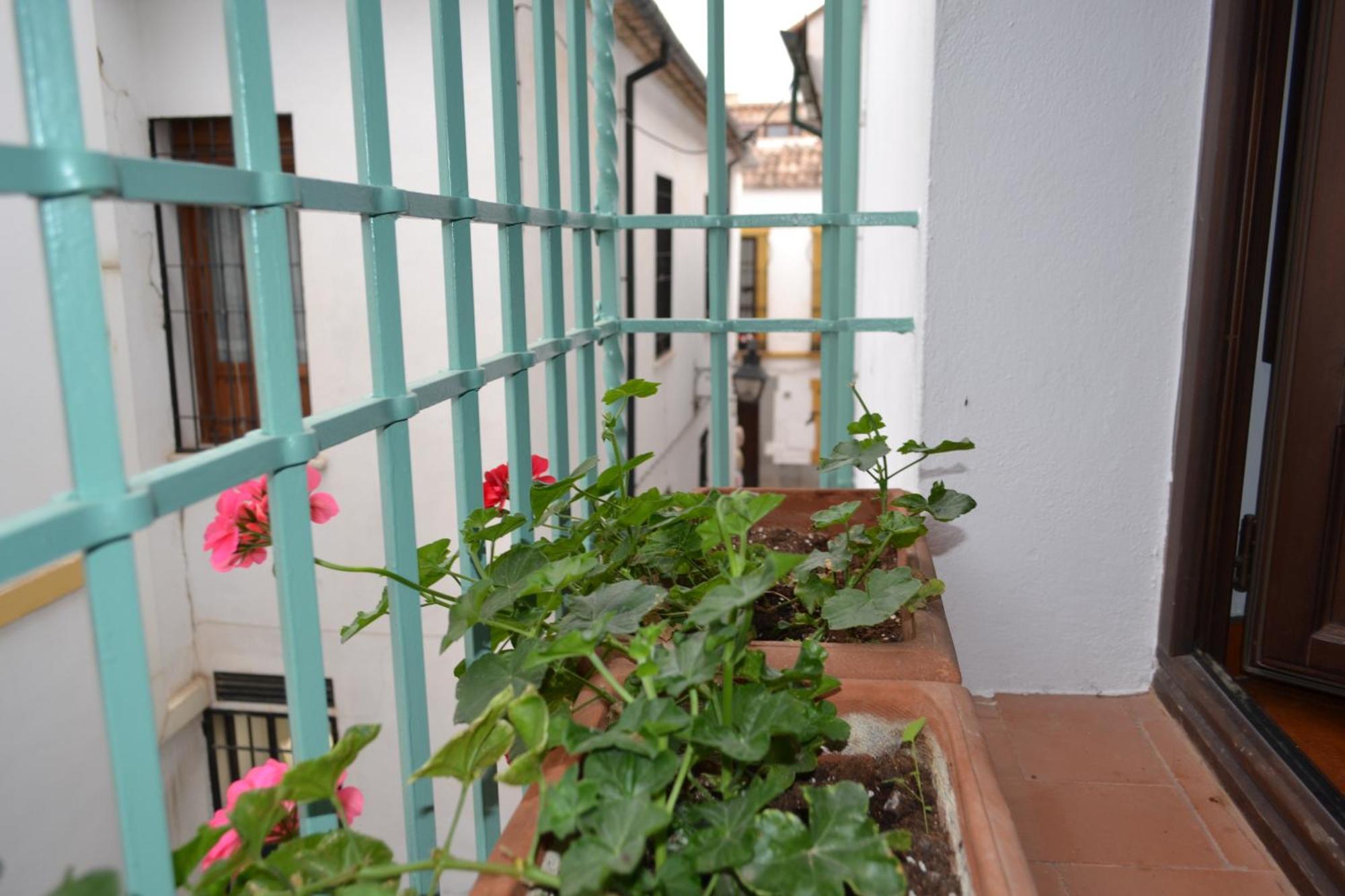 Appartement Sunshine Patio De La Hoguera à Cordoue Extérieur photo